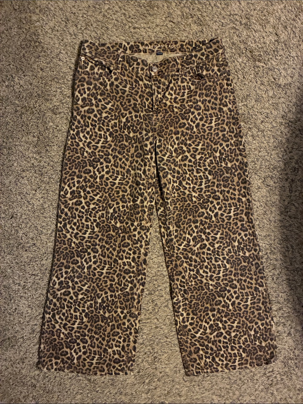 American Eagle Low Rise Baggy Wide Leg Jeans - size 12 regular